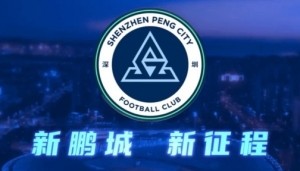 记者：新鹏城明确否认77岁老帅勒鲁瓦接手，新帅本周内即可到位