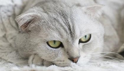 星空体育app：让夜空照亮每一次汗水的跨越